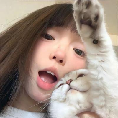 极主夫道 电影版